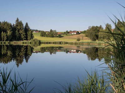 Bild 20 aus  Ferienhof Weißenbach