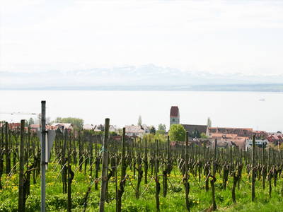 Bild 7 aus  Ferienhof Mecking