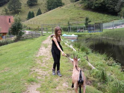 Bild 9 aus  Schmidbauernhof