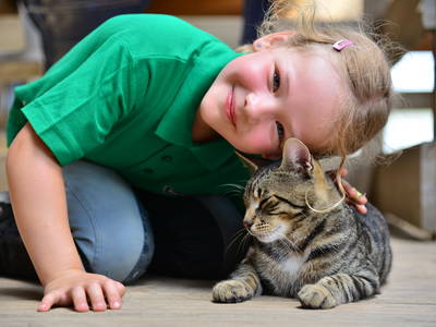 Bild 10 aus  Küselhof und Reiterhof Witt