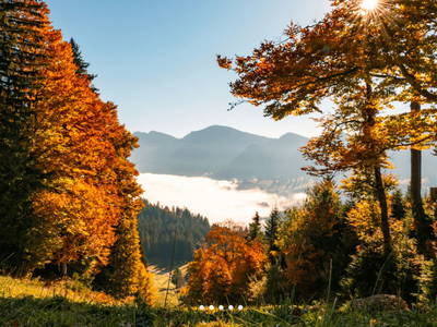 Bild 13 aus  Ferienhof Gomm