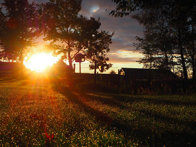 Bild 2 aus  Hof Letsch