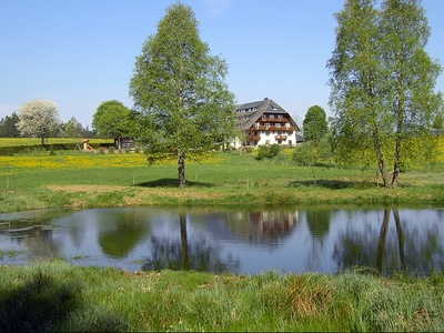 Bild 2 aus  Gschwinghof