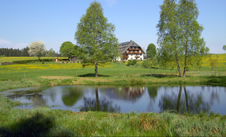 Gschwinghof aus Sankt Peter