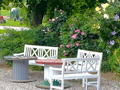 Bild 44 aus  Ferienhof Messer  Bauernhofurlaub  Ostseenähe  Ponys