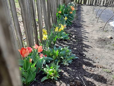 Bild 39 aus  Kreuzplon