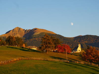 Bild 25 aus  Wastlhof  Urlaub auf dem Bauernhof