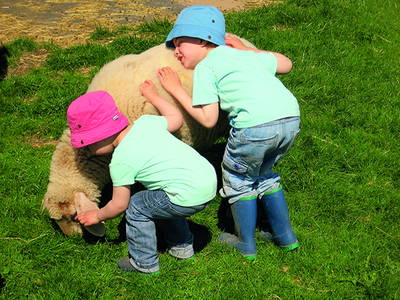 Bild 34 aus  Steigerwaldhof Krafft