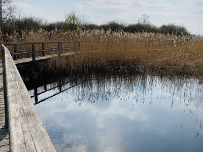 Bild 14 aus  LandSelection Schwarzfelder Hof