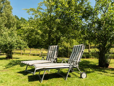 Bild 5 aus  Ferienwohnungen Bendfeldt