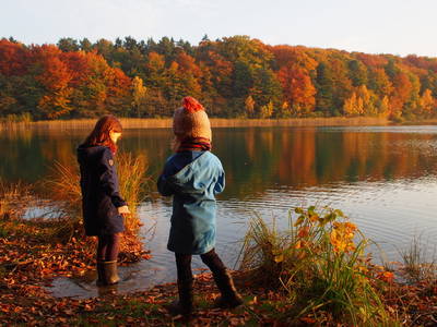 Bild 34 aus  Gut Pälitzhof