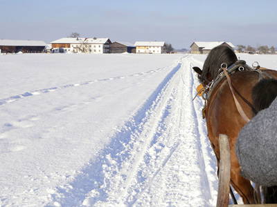 Bild 15 aus  Springerhof