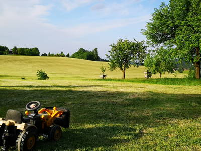 Bild 31 aus  Auf'm Reifnhof: Ihr Kreativhof am Simssee im Chiemgau