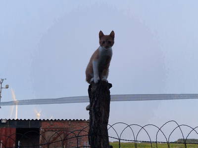 Bild 62 aus  Küstenhof Oldewurtel