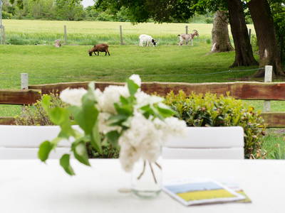 Bild 13 aus  Bauernhof Höper-Rauert