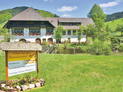 Bild 2 aus  Ramsteinerhof