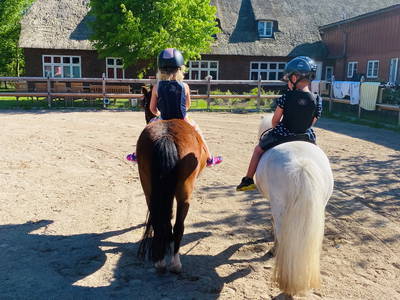 Bild 61 aus  Lindenhof