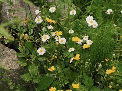 Bild 9 aus  Ferienparadies am Rennweg
