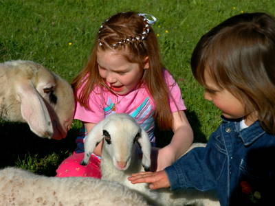 Bild 21 aus  Oberpiskoihof, Auszeit in den Südtiroler Dolomiten