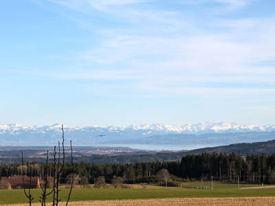 Bild 6 aus  Landhaus Bodensee