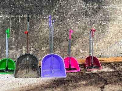 Bild 21 aus  Görgenhof - Gnadenhof für Bauernhoftiere