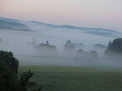 Bild 27 aus  Hanauerhof