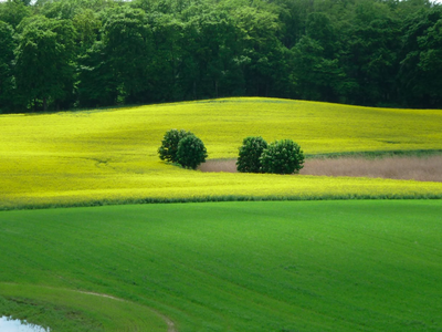 Bild 9 aus  Ferienhaus Melzow