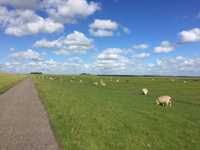 Bild 24 aus  Ferienhof Friedenshof