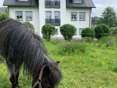 Bild 7 aus  Frankenwaldhof