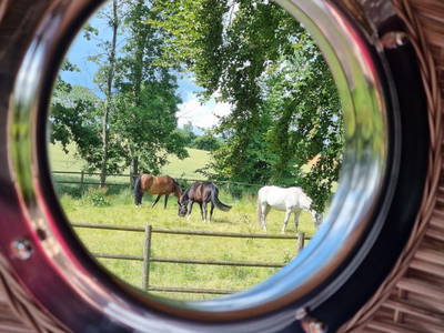 Bild 19 aus  Gut Büchenau  -  Auszeit für Erholungsuchende & Naturliebhaber