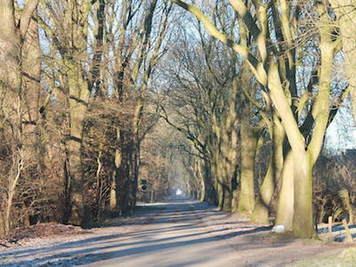 Bild 22 aus  Hof Sassen