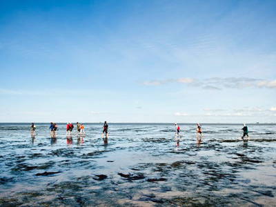Wattwanderung im Nationalpark Wattenmeer an der Nordsee