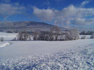 Bild 5 aus  Burgstallhof