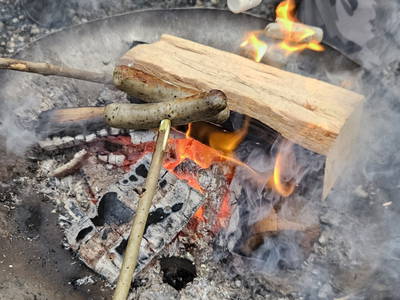 Bild 15 aus  Ferienhof Hasseler