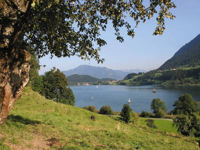 Bild 18 aus  Ferienhof Rasch