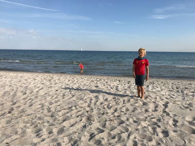 Bild 34 aus  Luftsnapper & Fellnasen