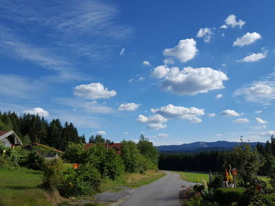 Bild 5 aus  Ferienhof Pauli