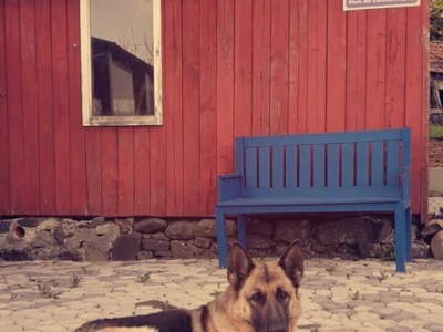 Bild 8 aus  kleinHOTEL Steinau-Rabenstein