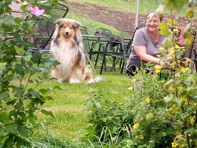 Bild 29 aus  Ferienparadies am Rennweg