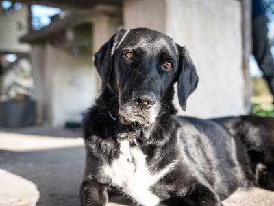 Bild 22 aus  Dambækgaard