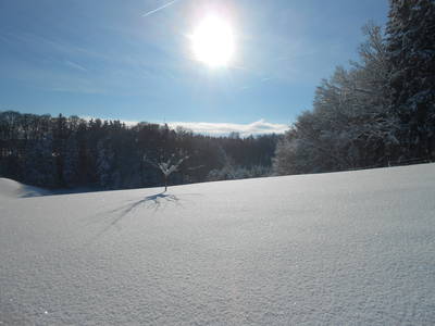 Bild 28 aus  Kaiserhof am See