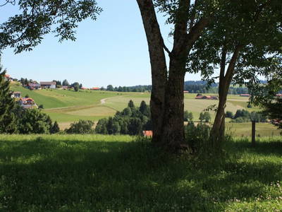 Blick nach Schönberg