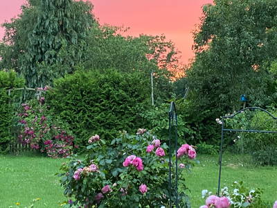 Bild 45 aus  Ferienhof Messer  Bauernhofurlaub  Ostseenähe  Ponys