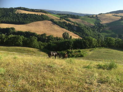 Bild 32 aus  Colle del Lupo