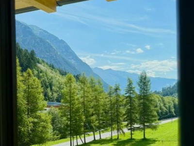 Bild 12 aus  Nature House