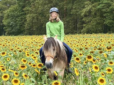 Bild 6 aus  Hof Obst im Dosse-Seen-Land