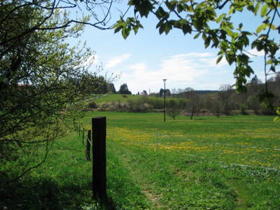 Bild 12 aus  Mühlberghof