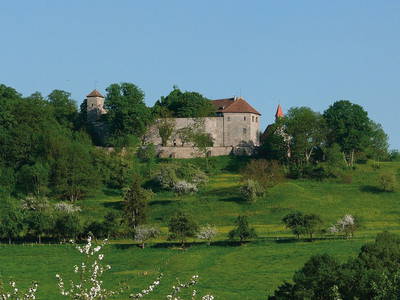 Bild 2 aus  Die Tannenburg