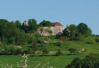Die Tannenburg aus Bühlertann