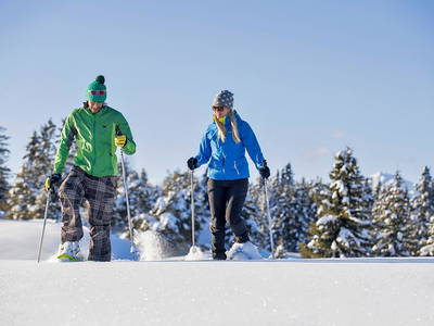 Bild 15 aus  Appartement Birkenhof - Urlaub mit Pferden und Alpakas
